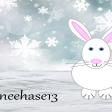 Profilbild von Schneehase13