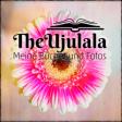 Profilbild von TheUjulala