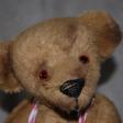 Profilbild von Buecherteddy1809