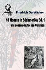 Cover-Bild 18 Monate in Südamerika und dessen deutschen Colonien Bd. 1