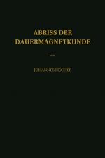 Cover-Bild Abriss der Dauermagnetkunde