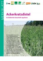 Cover-Bild Ackerkratzdistel