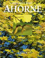 Cover-Bild Ahorne