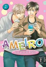 Cover-Bild Ameiro Paradox 02