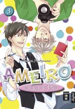 Cover-Bild Ameiro Paradox 03