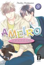 Cover-Bild Ameiro Paradox 05