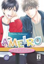 Cover-Bild Ameiro Paradox 06