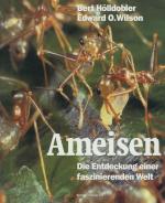 Cover-Bild Ameisen