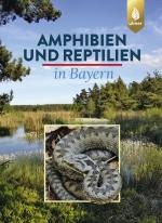 Cover-Bild Amphibien und Reptilien in Bayern