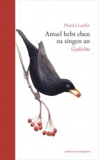 Cover-Bild Amsel hebt eben zu singen an