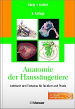 Cover-Bild Anatomie der Haussäugetiere