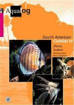 Cover-Bild Aqualog. Reference fish of the world / Southamerican Cichlids. IV, Dt. /Engl. / Diskus und Skalare