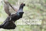 Cover-Bild Auf den Spuren des Schöpfers