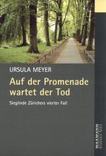 Cover-Bild Auf der Promenade wartet der Tod