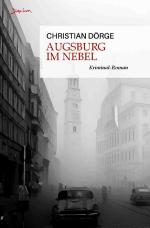 Cover-Bild Augsburg im Nebel