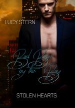 Cover-Bild Bad Boys by the Bay: Stolen Hearts