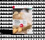 Cover-Bild Bäckerei in Theorie und Praxis Lebensmittelkunde • Bäckereitechnologie • Fachkunde E-Book Solo
