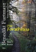 Cover-Bild Benedikt Furtmayr (1) - Großdruck