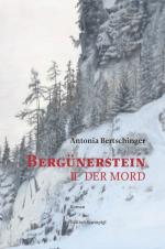 Cover-Bild Bergünerstein