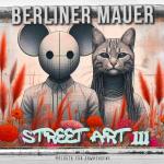 Cover-Bild Berliner Mauer Street Art Malbuch für Erwachsene 3