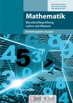 Cover-Bild Berufsreifeprüfung Mathematik Erarbeitungsteil: Lösungen s/w - 7. Auflage