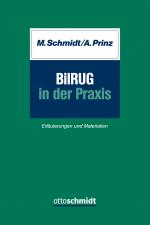 Cover-Bild BilRUG in der Praxis