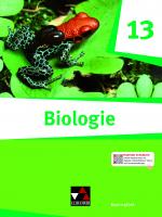 Cover-Bild Biologie Bayern – Sek II / Biologie Bayern 13