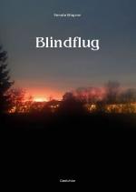 Cover-Bild Blindflug