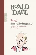 Cover-Bild Boy / Im Alleingang