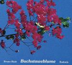 Cover-Bild Buchstaweblume