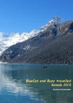 Cover-Bild Buzz travelled / BlueCat and Buzz travelled