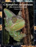 Cover-Bild Chamaeleo calyptratus