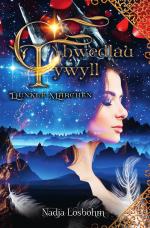 Cover-Bild Chwedlau Tywyll – Dunkle Märchen