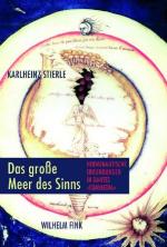 Cover-Bild Das große Meer des Sinns