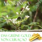 Cover-Bild Das grüne Gold von Curacao