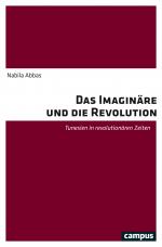 Cover-Bild Das Imaginäre und die Revolution