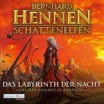 Cover-Bild Das Labyrinth der Nacht