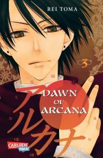 Cover-Bild Dawn of Arcana 3