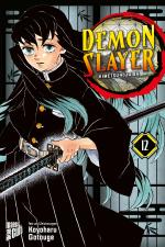 Cover-Bild Demon Slayer 12