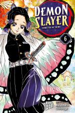 Cover-Bild Demon Slayer 6