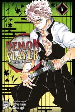 Cover-Bild Demon Slayer - Kimetsu no Yaiba 17