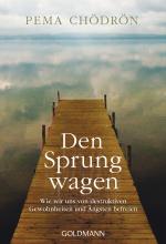 Cover-Bild Den Sprung wagen