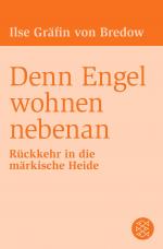 Cover-Bild Denn Engel wohnen nebenan