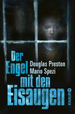 Cover-Bild Der Engel mit den Eisaugen