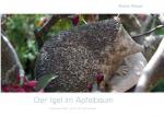 Cover-Bild Der Igel im Apfelbaum