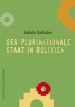 Cover-Bild Der plurinationale Staat in Bolivien