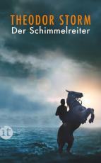 Cover-Bild Der Schimmelreiter