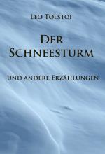 Cover-Bild Der Schneesturm