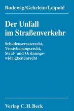 Cover-Bild Der Unfall im Straßenverkehr