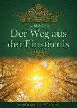 Cover-Bild Der Weg aus der Finsternis